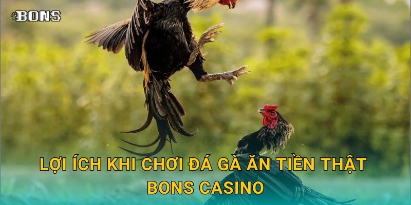 Đá gà ăn tiền thật – Cơ hội sinh lời an toàn tại Bons Casino 3 Lợi ích khi chơi đá gà ăn tiền thật Bons Casino