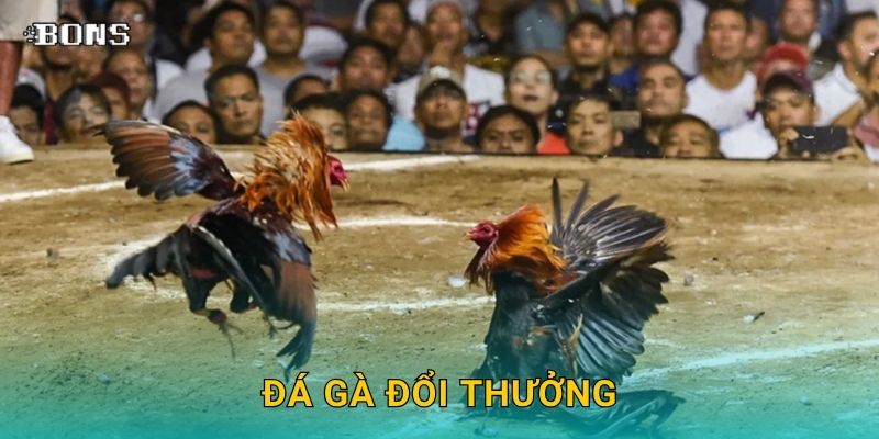 Đá gà đổi thưởng – Giải trí và nhận quà hấp dẫn tại Bons Casino 1 Đá gà đổi thưởng