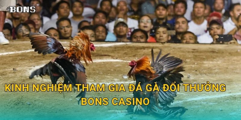 Đá gà đổi thưởng – Giải trí và nhận quà hấp dẫn tại Bons Casino 3 Kinh nghiệm tham gia đá gà đổi thưởng Bons Casino