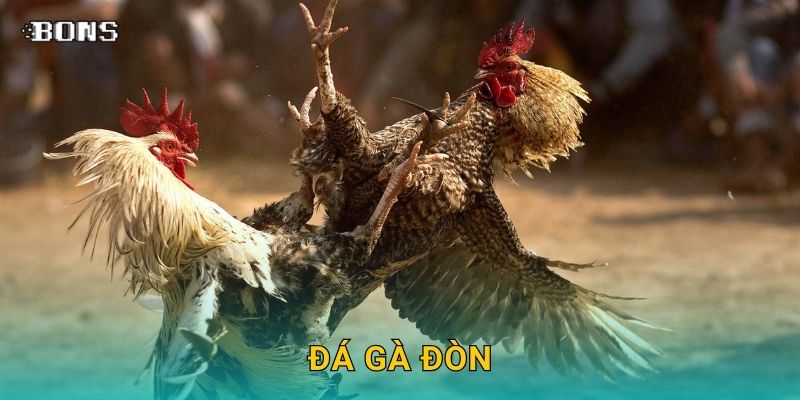 Đá gà đòn truyền thống – Trải nghiệm đấu trí tại Bons Casino 1 Đá gà đòn