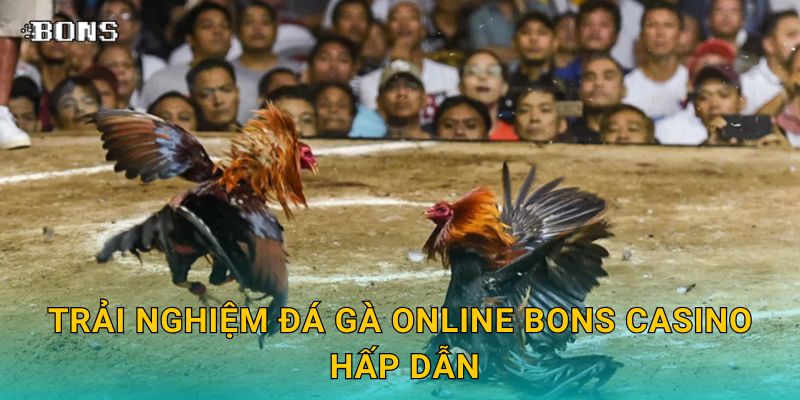 Đá gà online Bons Casino – Giới thiệu sảnh cược trực tuyến uy tín 2 Trải nghiệm đá gà online Bons Casino hấp dẫn