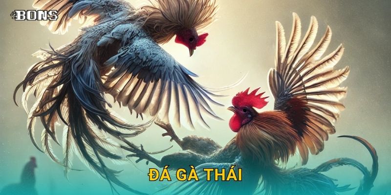 Đá gà Thái truyền thống – Giải đấu hấp dẫn tại Bons Casino 1 đá gà thái
