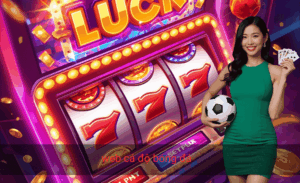 web cá độ bóng đá